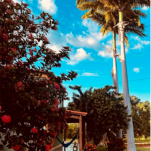 sala de estar com mesa de madeira linda